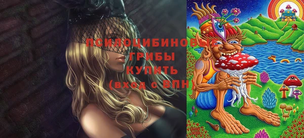 a pvp Арсеньев