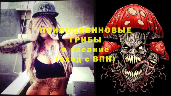 a pvp Арсеньев